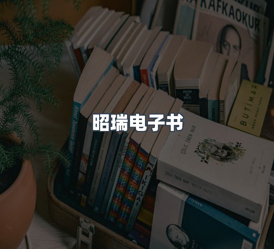 关于昭瑞电子书